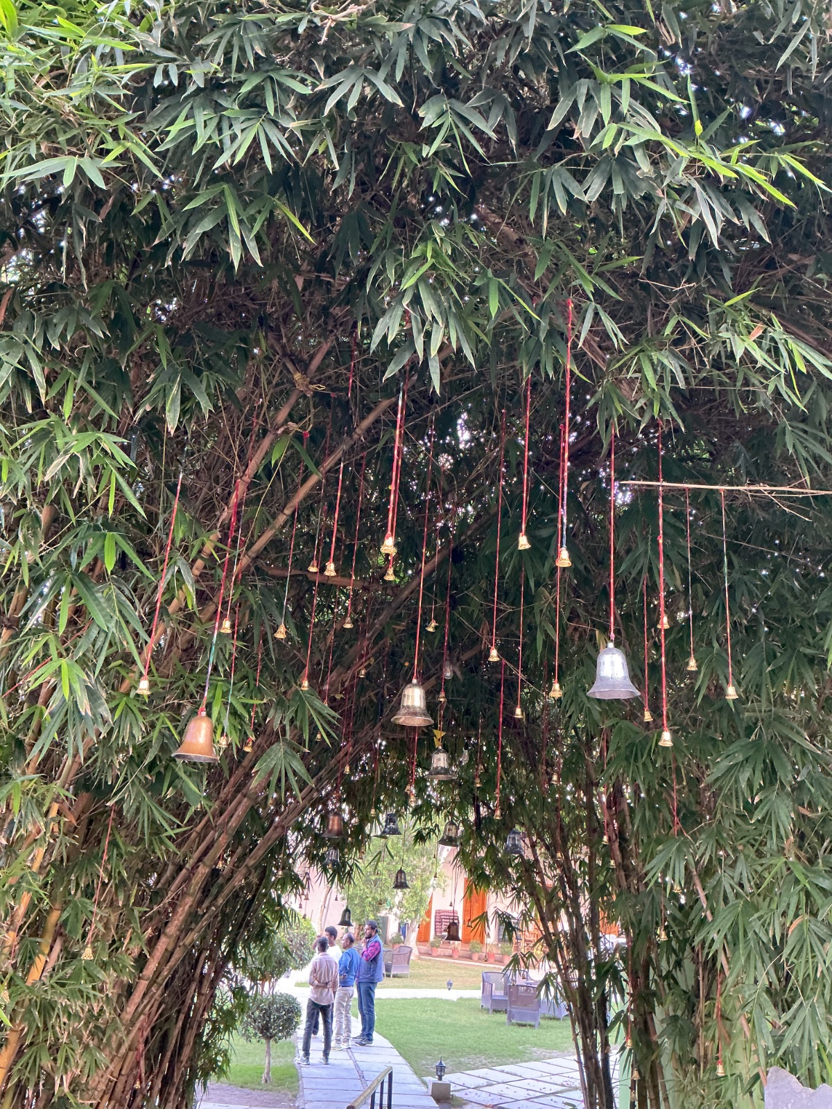 Garden bell decor pathway